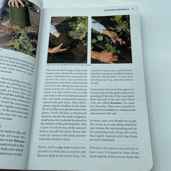 Perennials for Ontario - by Alison Beck & Kathy Renwald - Picture 5 of 7